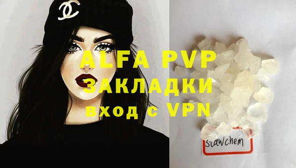 хмурый Аркадак