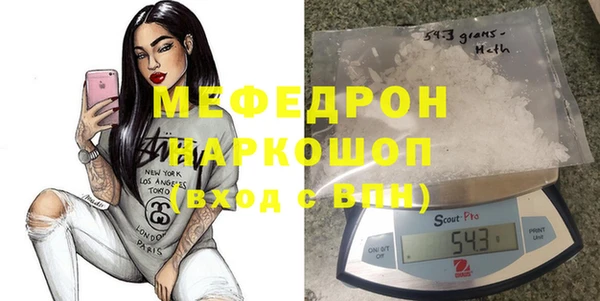 хмурый Аркадак