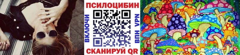 хочу Кандалакша Галлюциногенные грибы Psilocybine cubensis